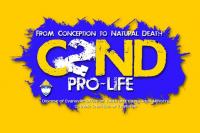 /data/news/1421/file/realname/images/pfllogo2013.jpg