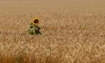 Encountering Christ in Scripture
