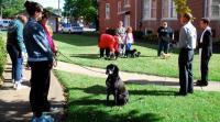 /data/news/8490/file/realname/images/p01__sacred_heart_pet_blessing.jpg